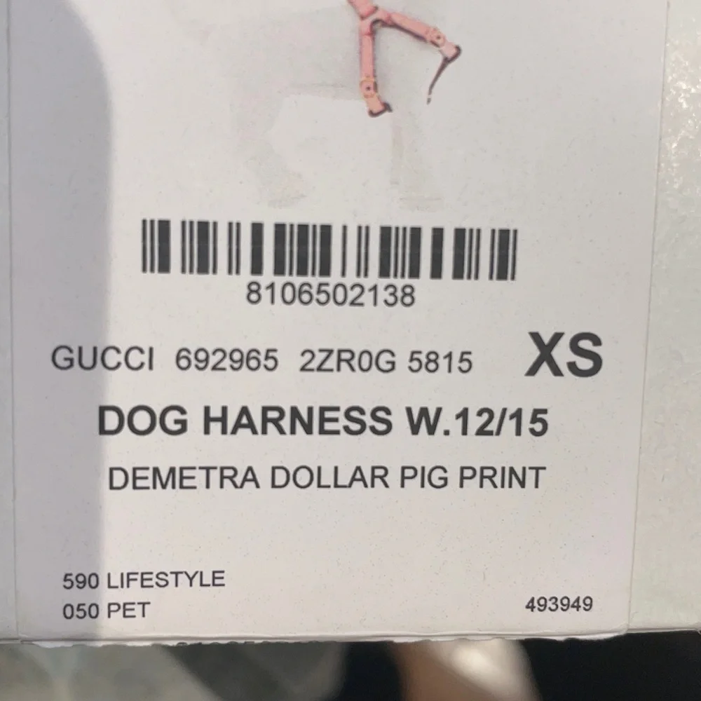 New Gucci dog leash/harness